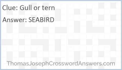 Gull or tern Answer