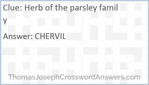 Herb of the parsley family Answer