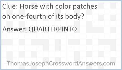 Horse with color patches on one-fourth of its body? Answer