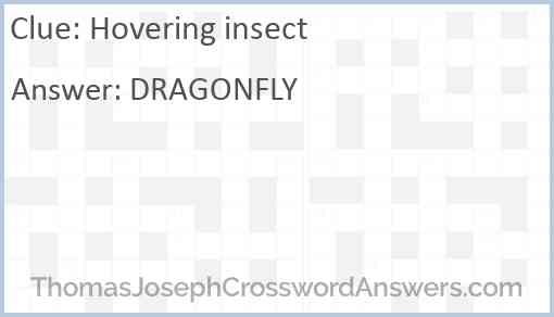 Hovering insect Answer