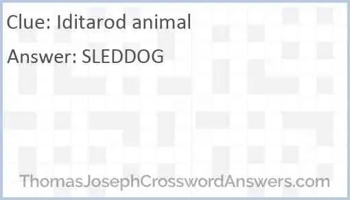 Iditarod animal Answer