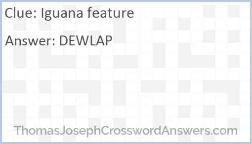 Iguana feature Answer