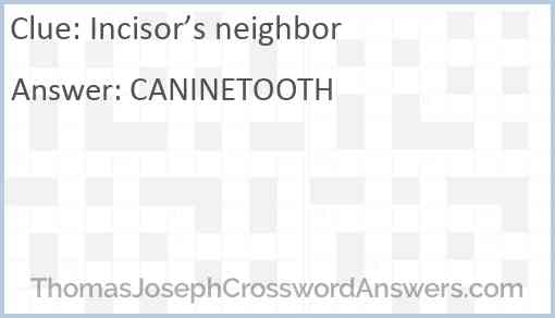 Incisor’s neighbor Answer