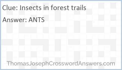 Insects in forest trails Answer