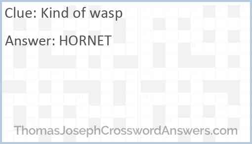 Kind of wasp Answer