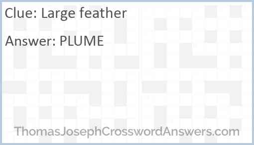 Large feather Answer