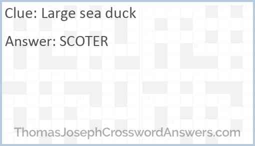 Large sea duck Answer