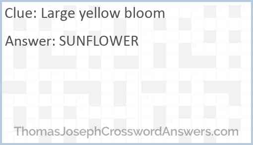 Large yellow bloom Answer