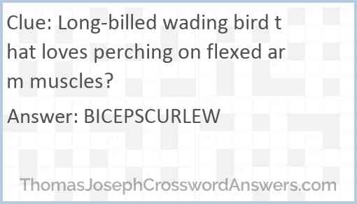 Long-billed wading bird that loves perching on flexed arm muscles? Answer