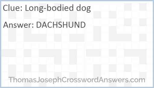 Long-bodied dog Answer