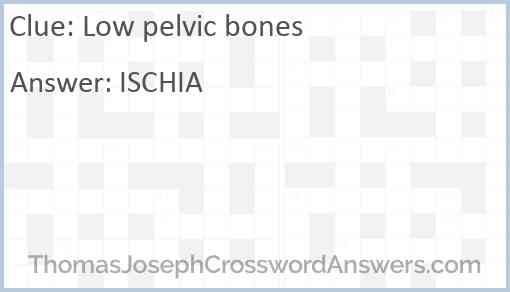 Low pelvic bones Answer