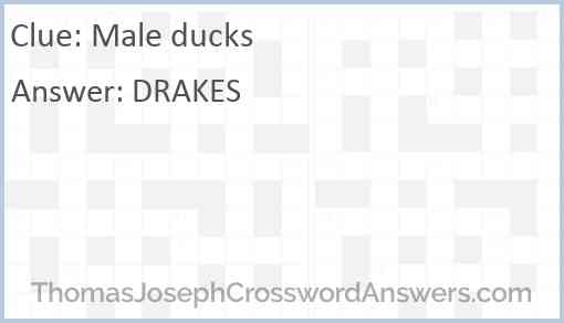 Male ducks Answer