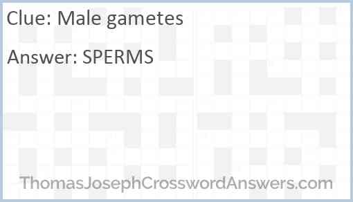 Male gametes Answer