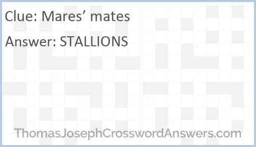 Mares’ mates Answer