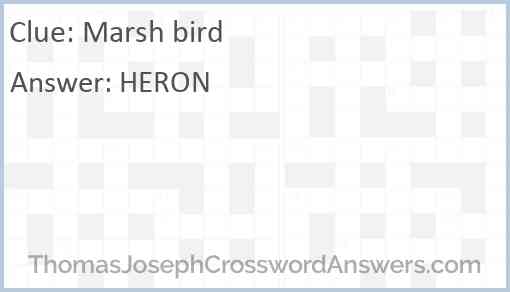 Marsh bird Answer