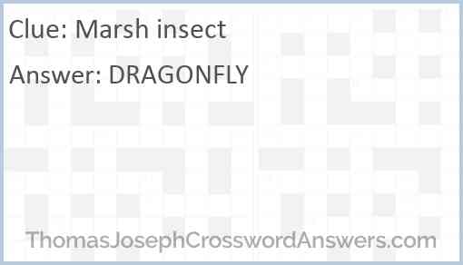 Marsh insect crossword clue ThomasJosephCrosswordAnswers com