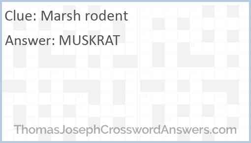 Marsh rodent Answer