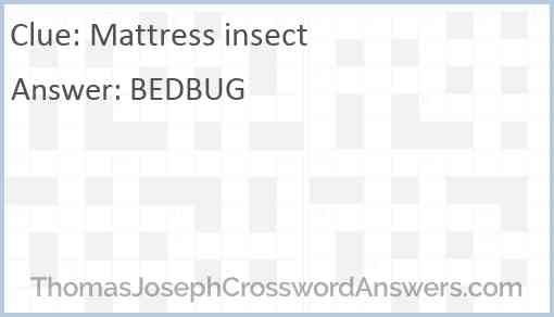 Mattress insect Answer