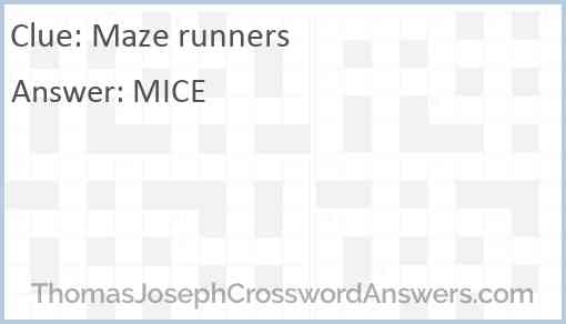 Maze runners Answer