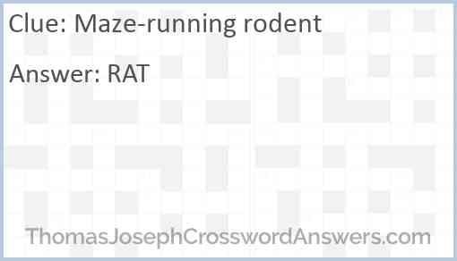 Maze-running rodent Answer