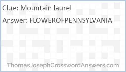 Mountain laurel Answer