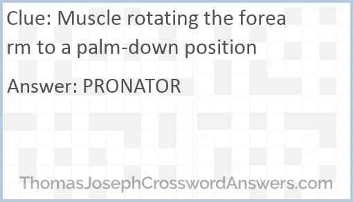 Muscle rotating the forearm to a palm-down position Answer