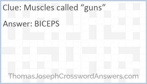 Muscles called “guns” Answer