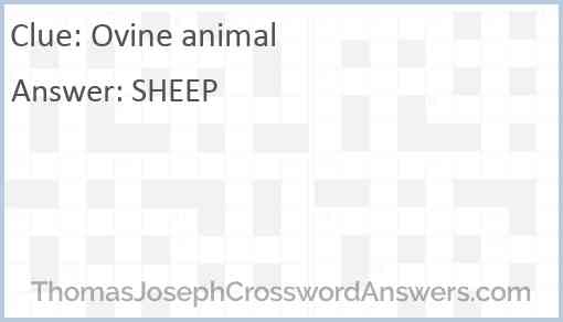 Ovine animal Answer