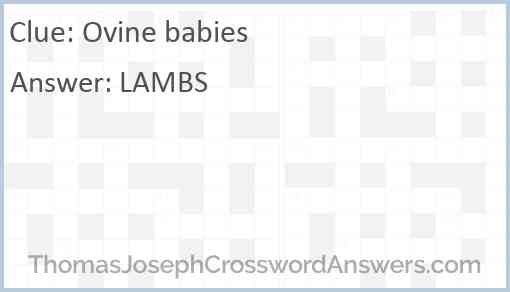 Ovine babies Answer