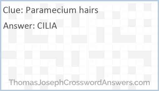 Paramecium hairs Answer