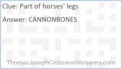 Part of horses' legs Answer