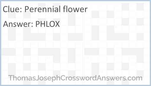 Perennial flower Answer