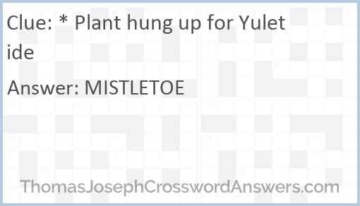 * Plant hung up for Yuletide Answer