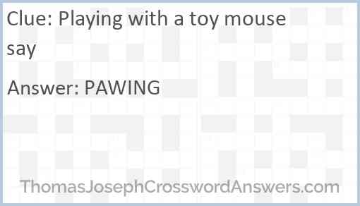 Playing with a toy mouse say Answer