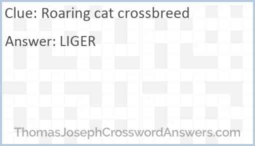 Roaring cat crossbreed Answer