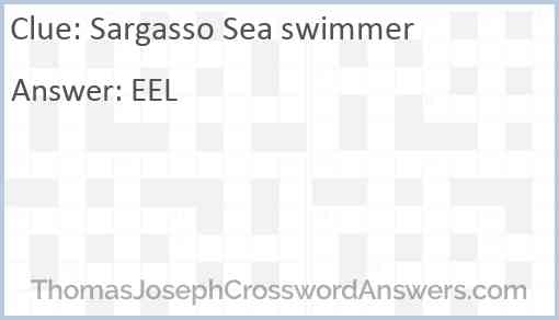 Sargasso Sea swimmer Answer