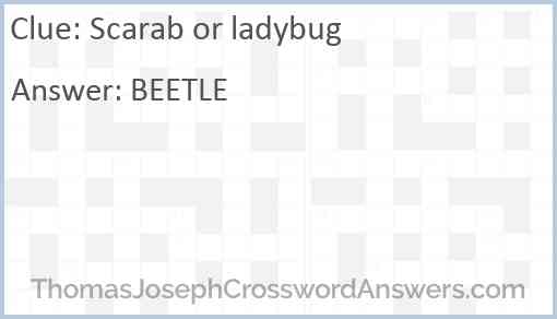 Scarab or ladybug Answer