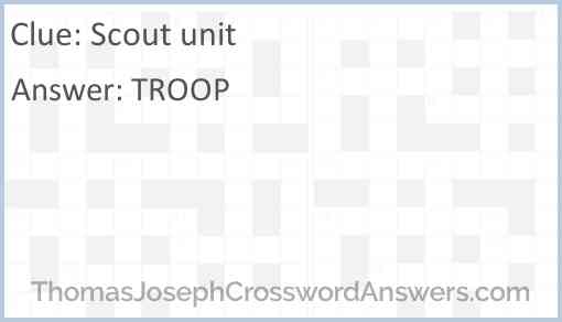 Scout unit Answer