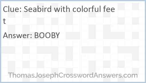 Seabird with colorful feet Answer