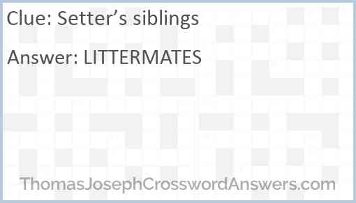 Setter’s siblings Answer