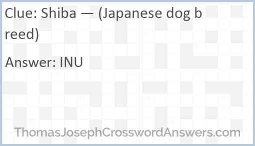 Shiba — (Japanese dog breed) Answer
