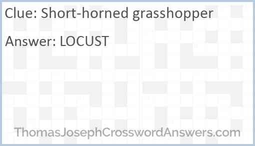 Short-horned grasshopper Answer