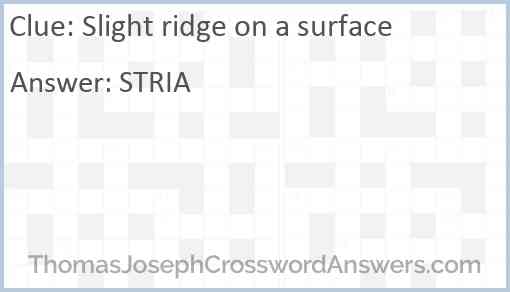 Slight ridge on a surface Answer