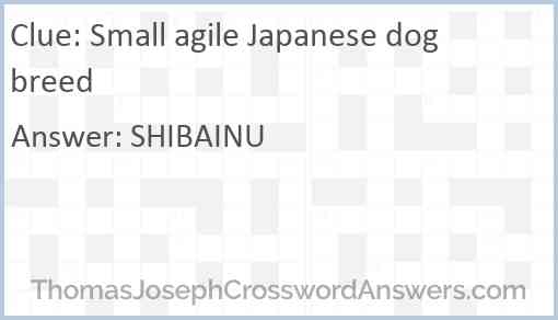Small agile Japanese dog breed Answer