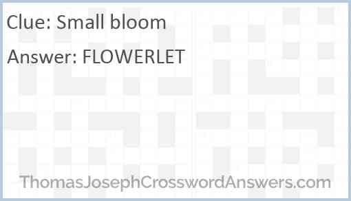 Small bloom Answer