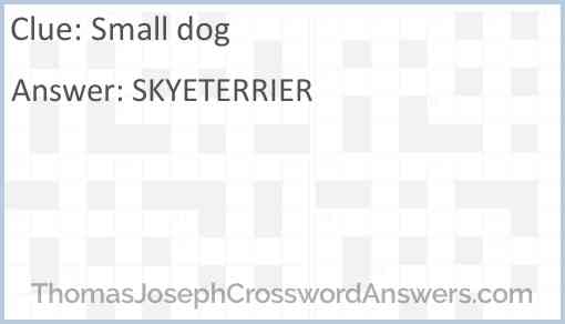Small dog Answer