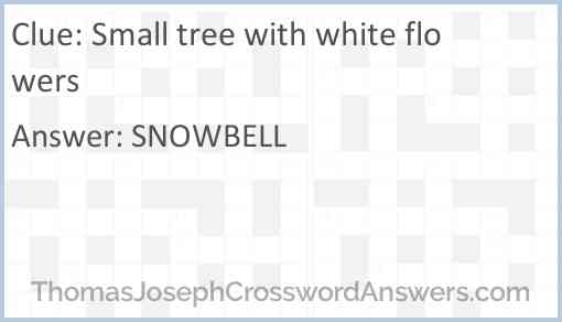 Small tree with white flowers Answer