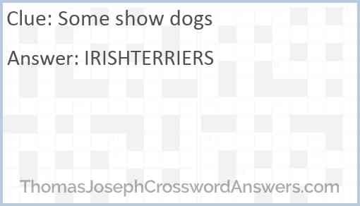 Some show dogs Answer