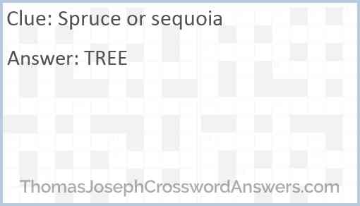 Spruce or sequoia Answer