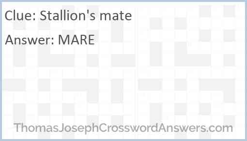 Stallion’s mate Answer